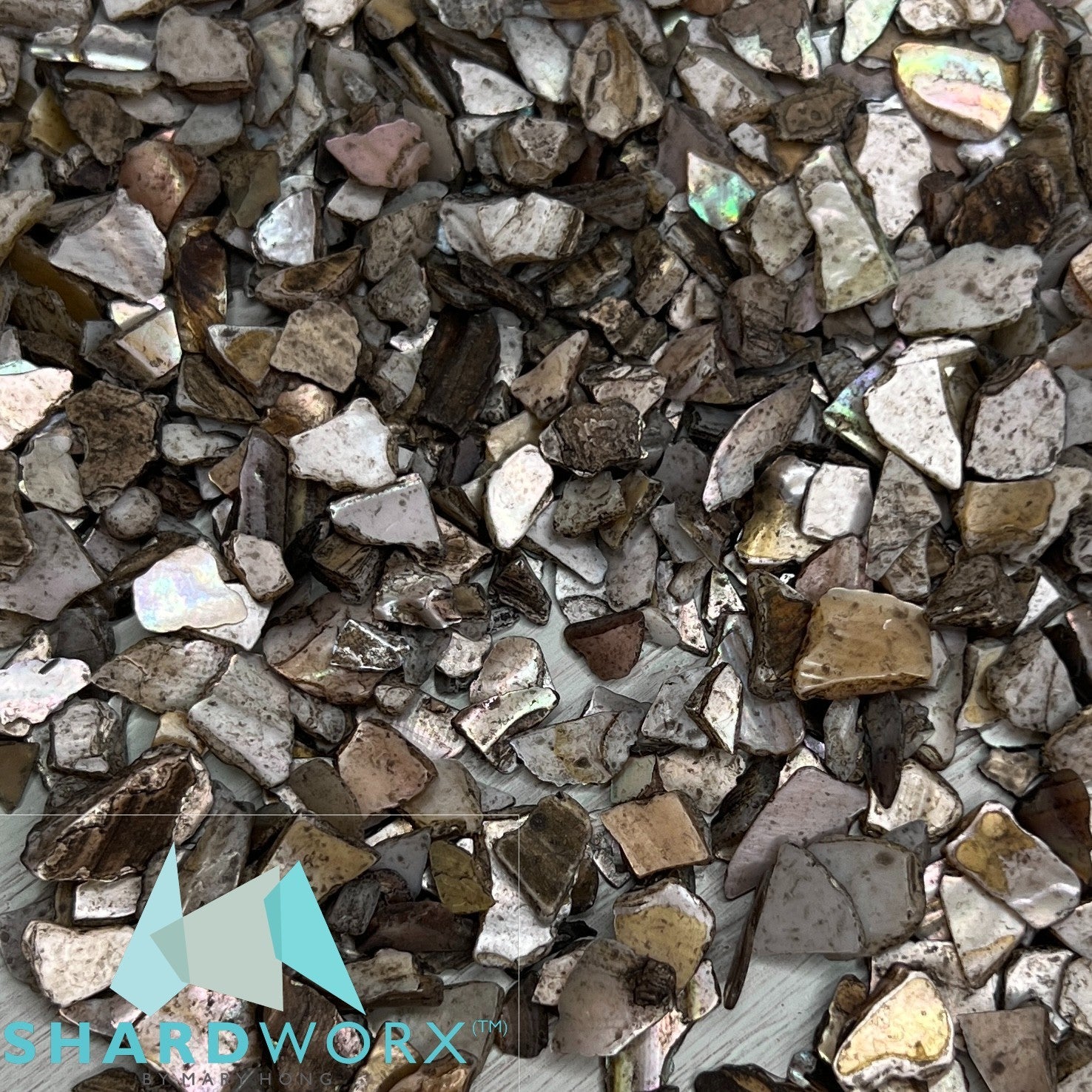 Shard Shop Crushed Shell - Shard Shop Grayton